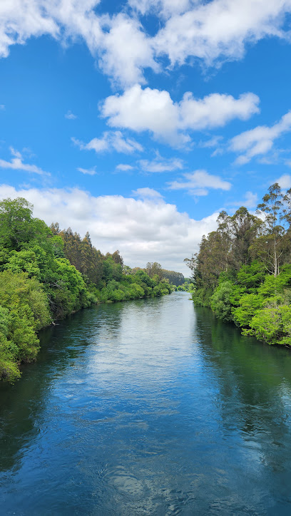 Aridos Caipulli en Osorno