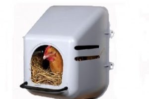 Aves Vilcun Spa en Temuco