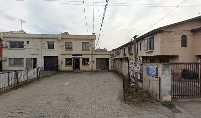 Avifixts en Concepción