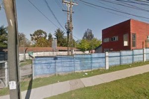Carlos Marín e Hijo en Osorno