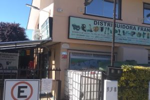 Distribuidora Francia en Valdivia