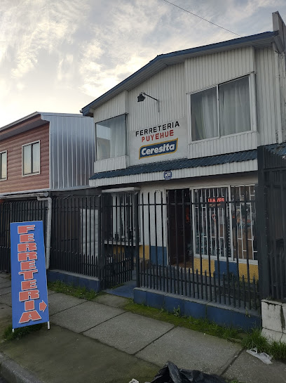Ferretería Puyehue en Coronel
