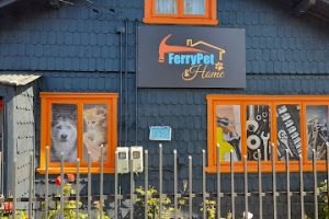 Ferrypet & Home en Osorno