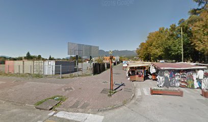 Fotografica Full Color Limitada en Pucón