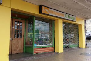 Herramientas El Bosque en Osorno