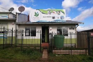 Multiriego en Temuco