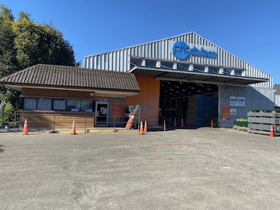 Prodalam en Villarrica