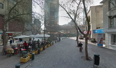 Ingenieria y Proyectos Igs Chile en Providencia