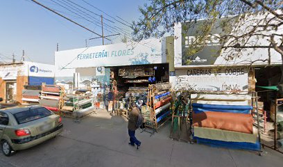 Juan Fidel Flores Lagos en Puente Alto
