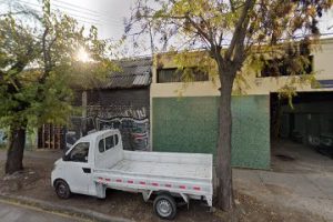 Masisa en Quinta Normal
