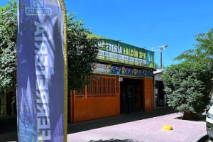 Ferretería Falcon Spa en Padre Hurtado