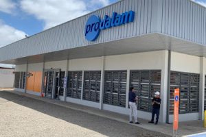 Prodalam en Villa Alemana